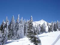 Winter Bayerischer Wald