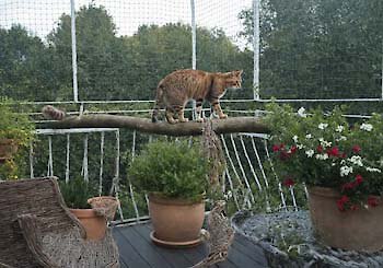 Urlaub mit Katze in Bayern